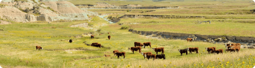 South Dakota State Compliance